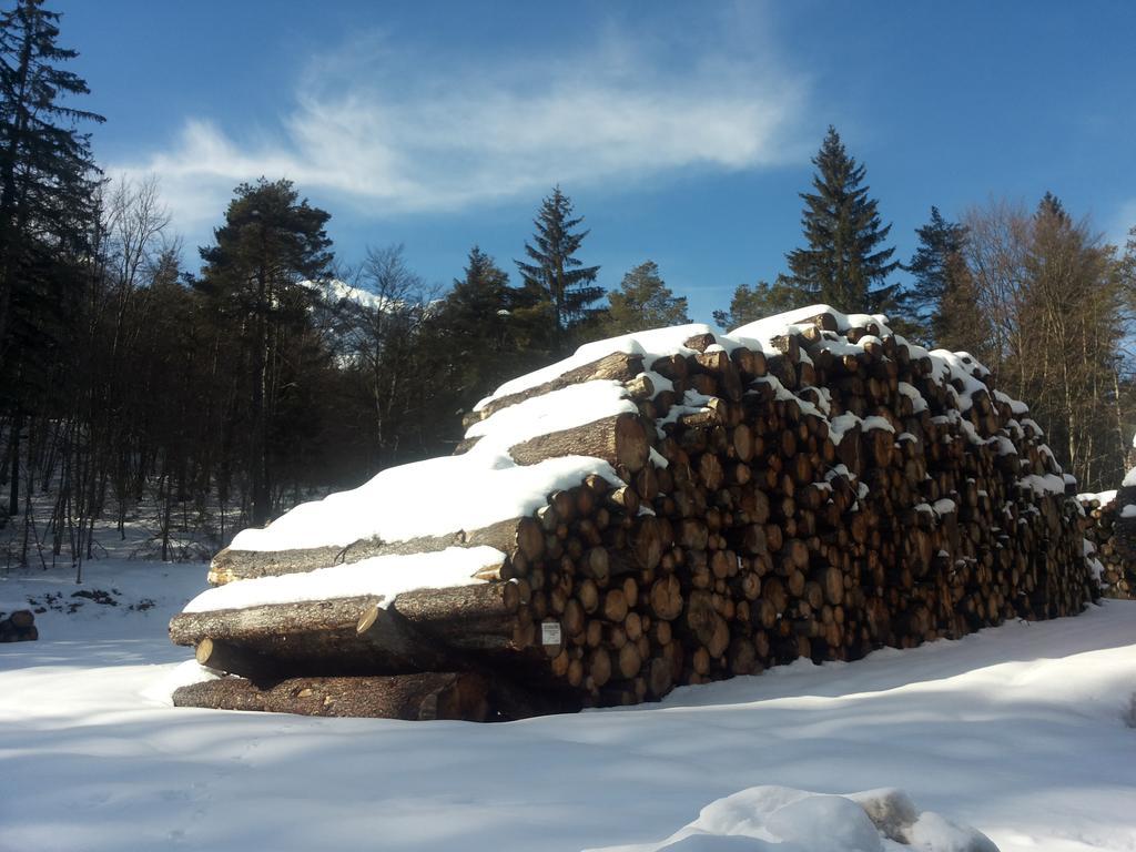 Appartamenti La Val Andalo Buitenkant foto