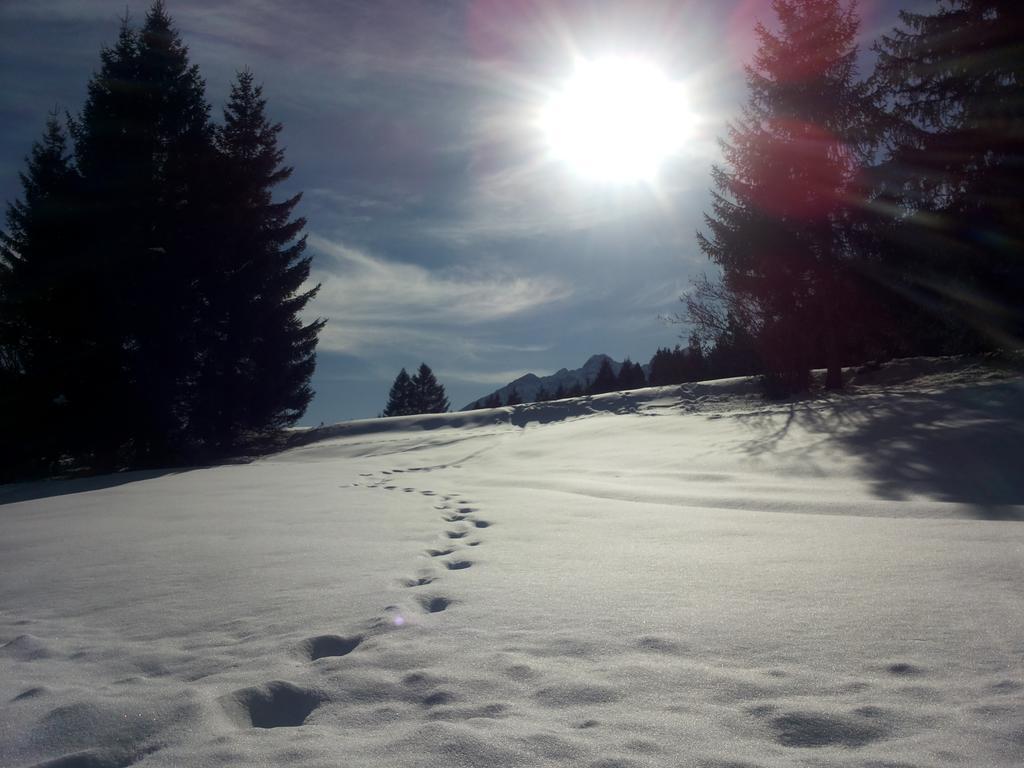 Appartamenti La Val Andalo Buitenkant foto